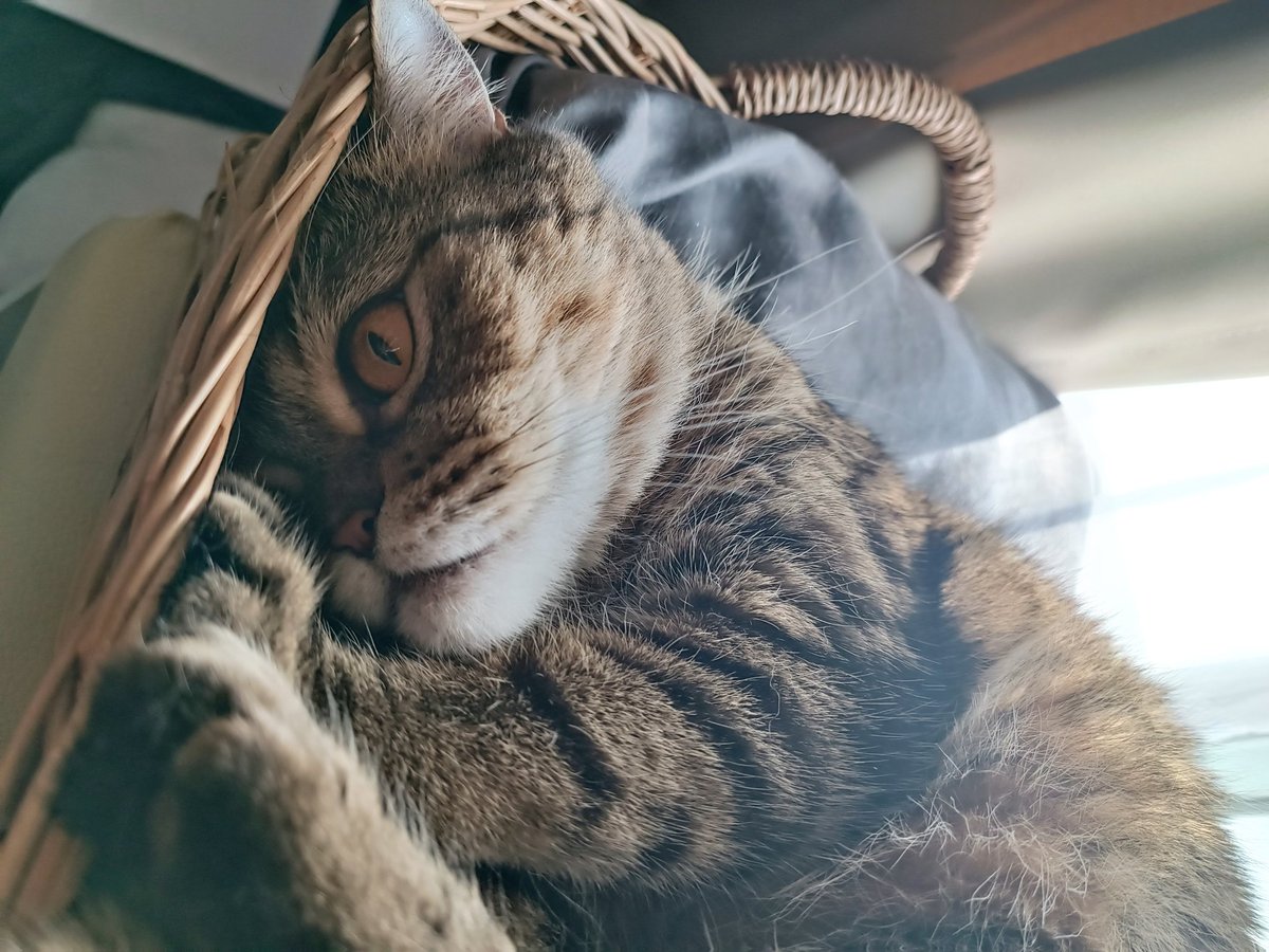 stringnayyy's tweet image. ยิ้มไปเลือกตั้งล่วงหน้ามาแน้วงับ