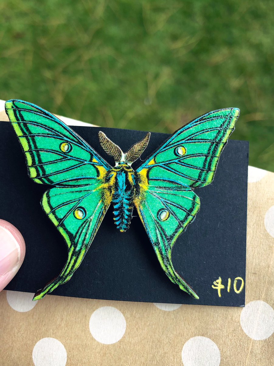 waspwench's tweet photo. My vintage fair market find! I imagine this is an alpine Graellsia isabellae pin 🦋🏔️ The Spanish Moon moth. Heavenly!
#spanishmoonmoth #alpine #pyrenees #moth #Graellsia #brooch https://t.co/EKDdP3nro2