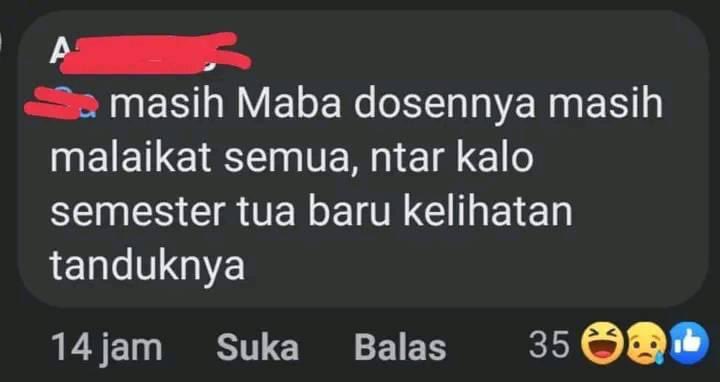 Billy Amstrong (@0xbillyamstrong) on Twitter photo 