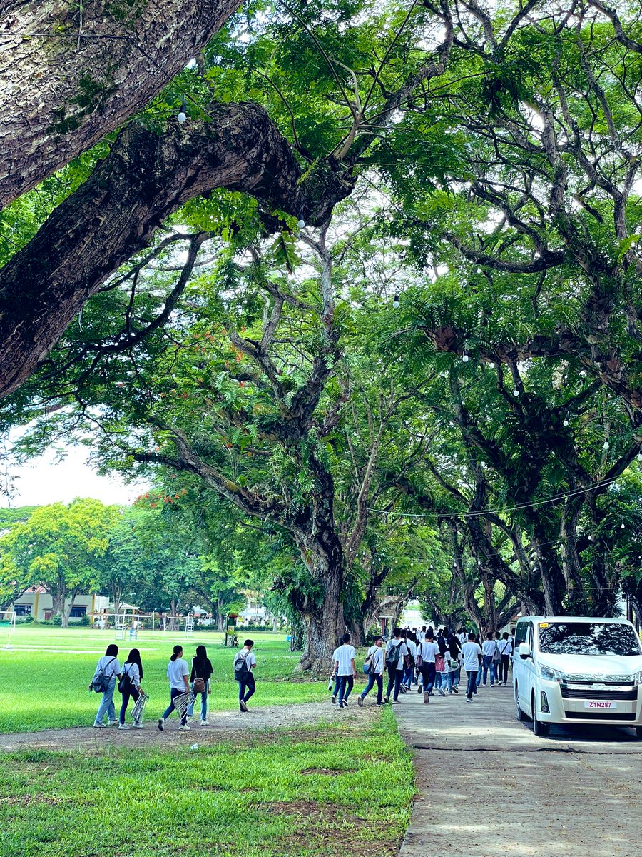 AlizedneyD's tweet photo. You have a beautiful campus Chancy @BaiHejira. It has the UPD vibe. Bigyan mo kami ng trees.😀 Looking forward to be back again and hopefully with the lotus 🪷 in full bloom. 

#oneMSU https://t.co/PIiOb3ACAN