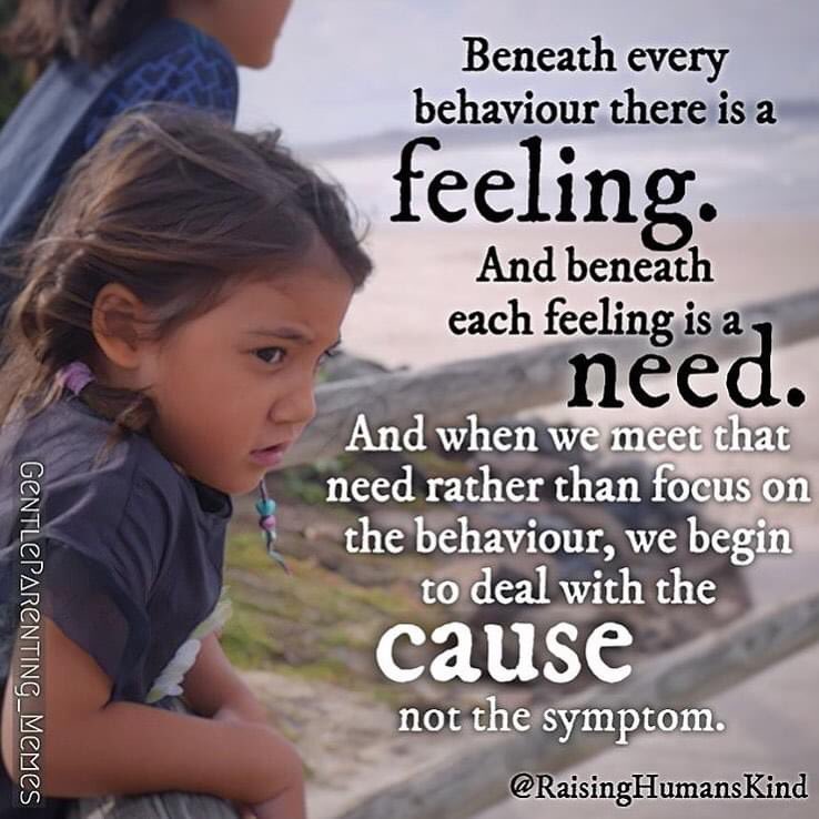 Zorica Sotra (@mrssotra) on Twitter photo 