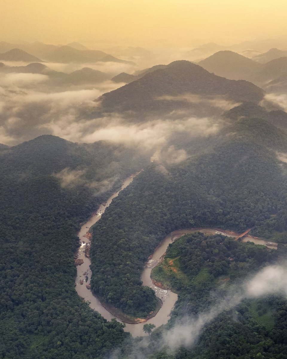 Praveen_nature's tweet image. #Maredumilli #MaredumilliForest #Paderu #Araku #Rampachodavaram #Eastgodavari #Beautiful #Morningvibes #Nature #Natureshot #NatureBeauty #NaturePhotography #Andrapradesh #India