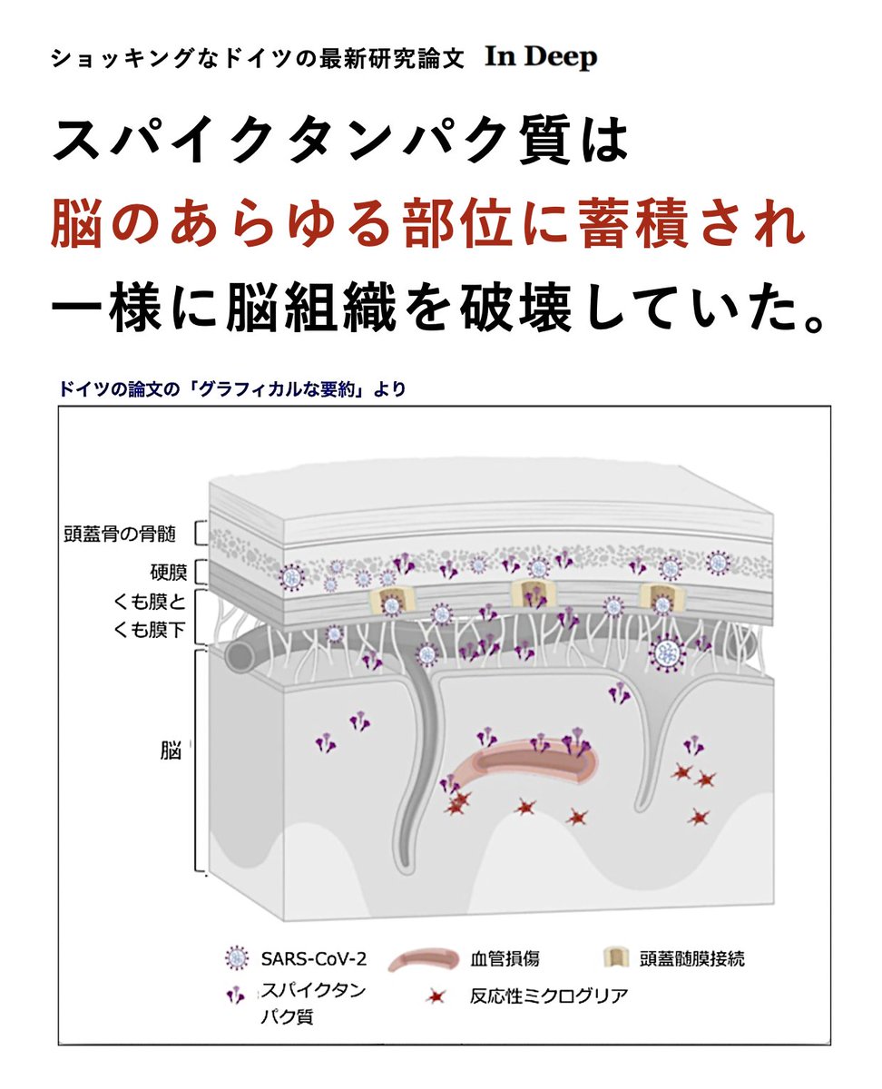 Tweet image