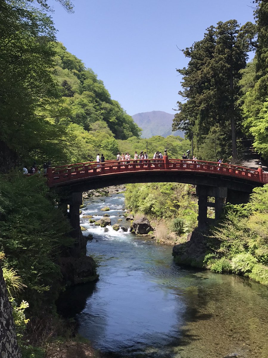 1hibiki's tweet photo. 初日は激混みでした⛩ https://t.co/xN8UCOUA3m
