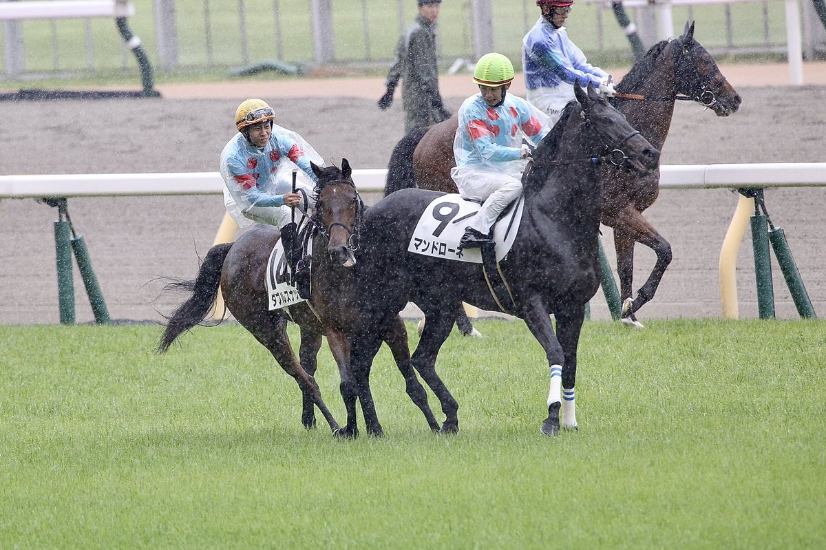 【武史大丈夫？】東京7R、ダブルスナッチから横山武史が落馬！　足を引きずりながら救急車へまとめのカテゴリ一覧いろいろまとめbeansについて関連サイト一覧