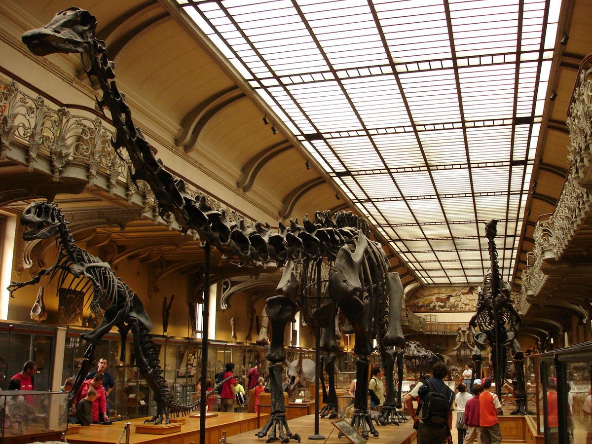 Christian A. Sidor tweet media