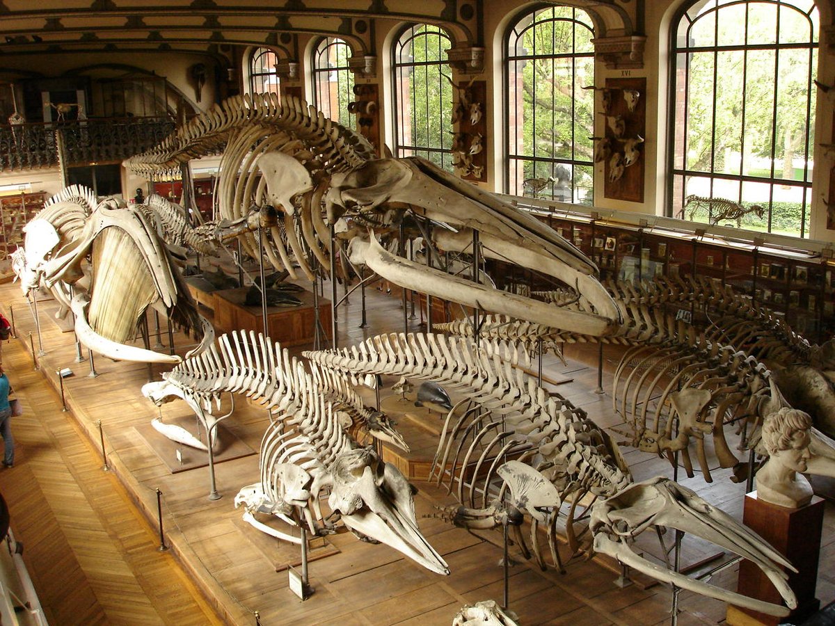 Christian A. Sidor tweet media