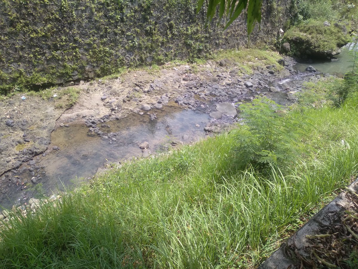 Menikmati aliran sungai yang masih Asri...

#cirebondokumentasi #pemkabcirebon #sumber #taman #wisatalokal #cirebon #jabar