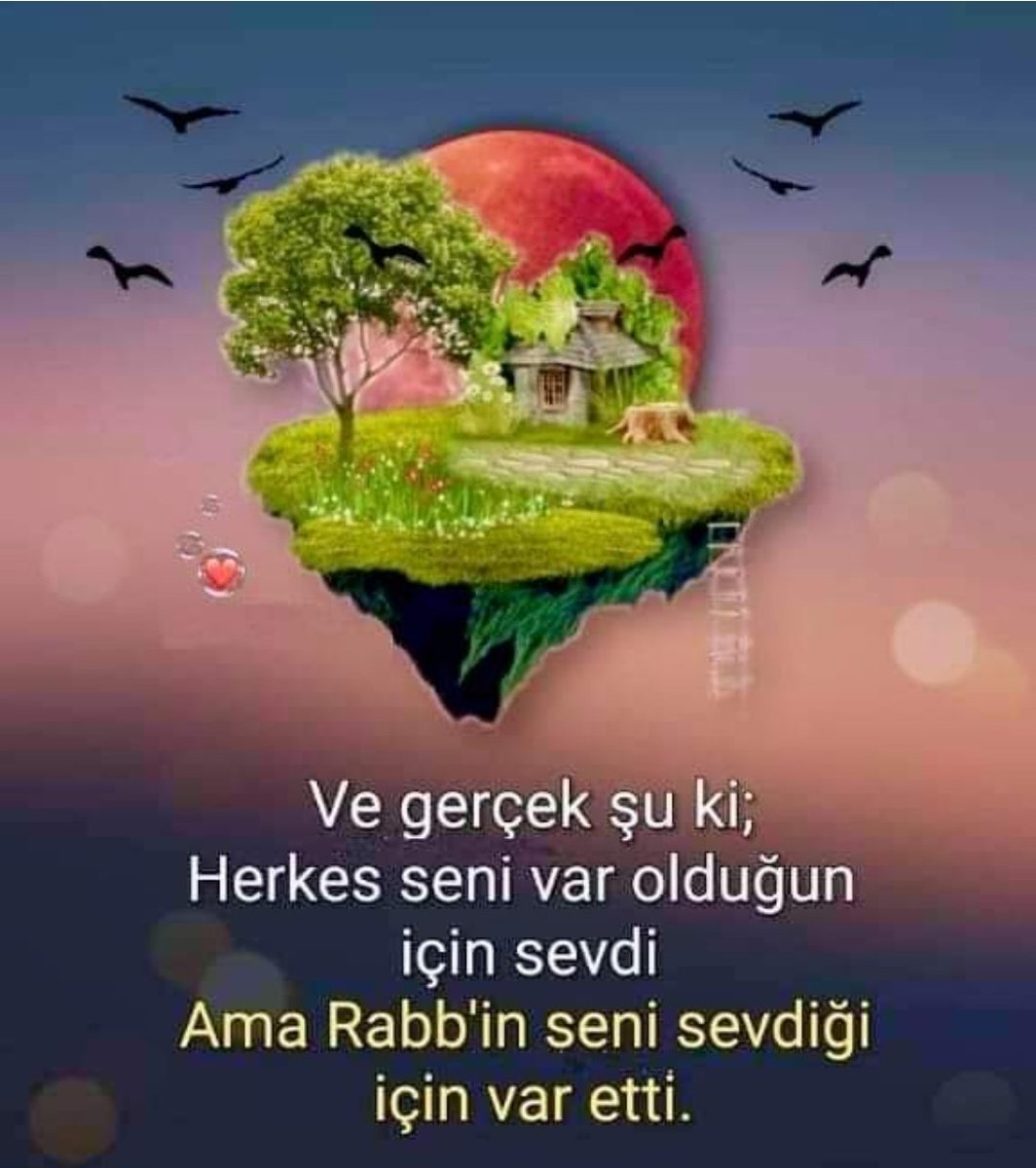 evket04367600's tweet image. Ateş olmasaydı suyun kıymeti, yokluk olmasaydı varlığın kıymeti, imtihan olmasaydı hayatın kıymeti bilinmezdi. Şükredin! 

Günaydın
Hayırlı pazarlar
#Nalan bekle
 #14Mayısı
Pazardan aldım bir tane, eve geldim bin tane devri bitti. Azcık bekle gız...🤔