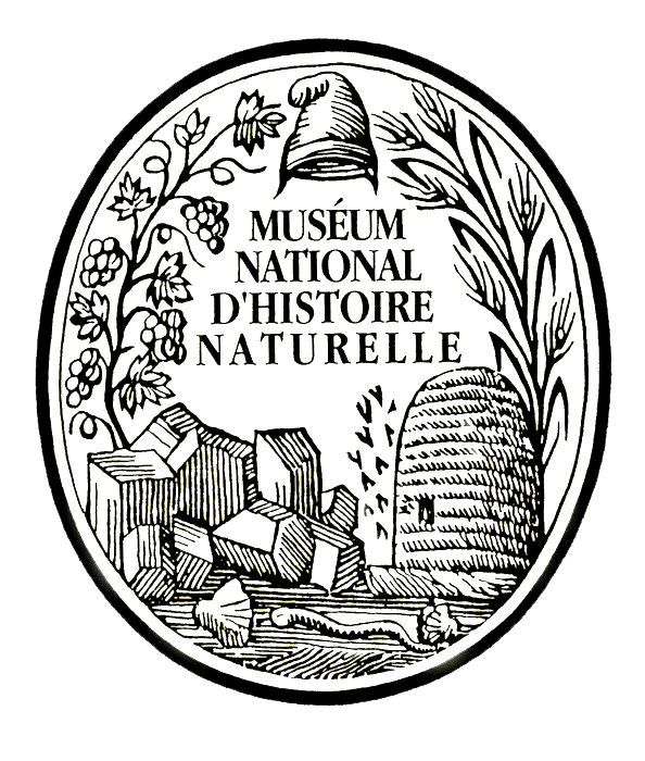 Christian A. Sidor (@christiansidor) on Twitter photo For those who haven't seen it yet –– Please consider signing the petition to keep the Muséum National d'Histoire Naturelle collections in Paris. chng.it/d2tBnJH6 via <a href="/ChangeFrance/">Change.org France</a> For those who haven't seen it yet –– Please consider signing the petition to keep the Muséum National d'Histoire Naturelle collections in Paris. chng.it/d2tBnJH6 via <a href="/ChangeFrance/">Change.org France</a>