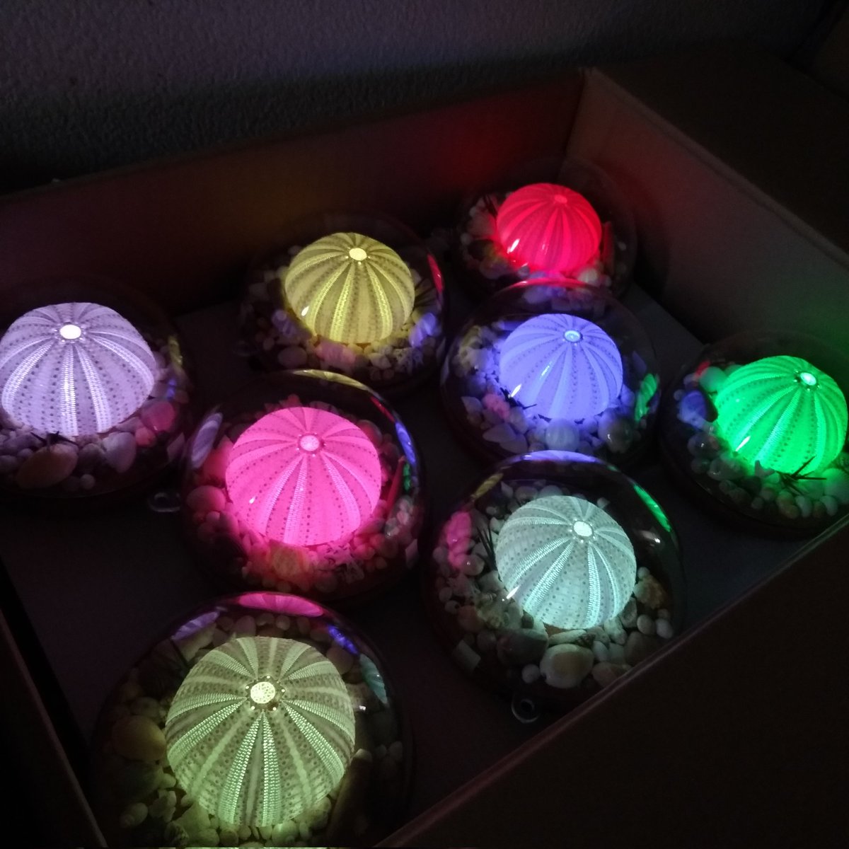 NA_function's tweet photo. 祝❇デザインフェスタ57❤リツイート祭り✨
自然幾何学的模様を灯したウニランプを中心に、海物雑🔹準備中🌊
暗いブースエリアにぜひ遊びに来て下さいな。
NA function
J-102  両日　
#デザフェス57
@designfesta
#リツイート祭り https://t.co/k4aifwYXM5