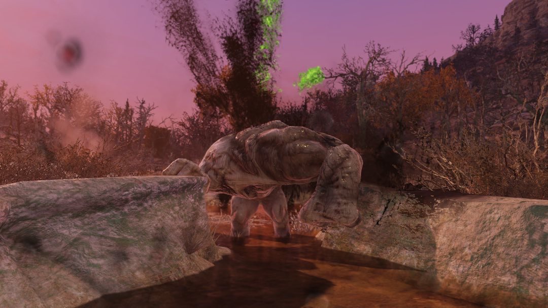 WanderingWonderBread tweet media