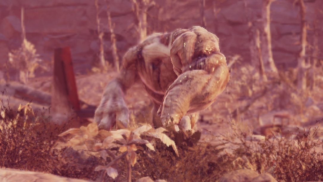 WanderingWonderBread tweet media