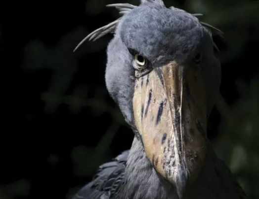 Compilation of <a href="/GCRClassic/">GCR</a> advice, aggregated by <a href="/thedefivillain/">VIKTOR</a>

TL; DR

• Round numbers are shelling points for S/R
• Low unit bias is the key to attracting retail
• Never short small cap
• Winners average winners and losers average losers

1/2

cryptonarratives.substack.com/p/compilation-…