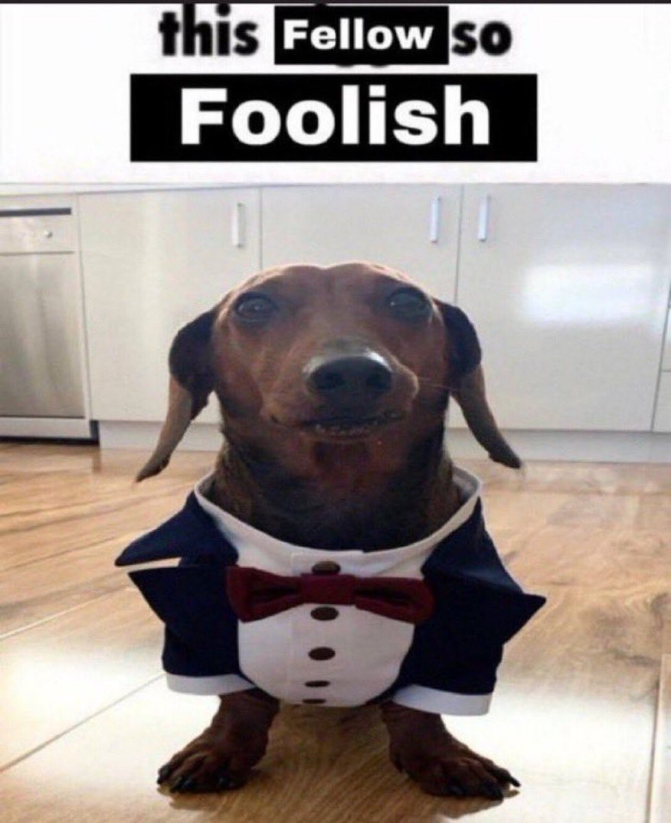 If you had to match my personality with any animal, what would it be?