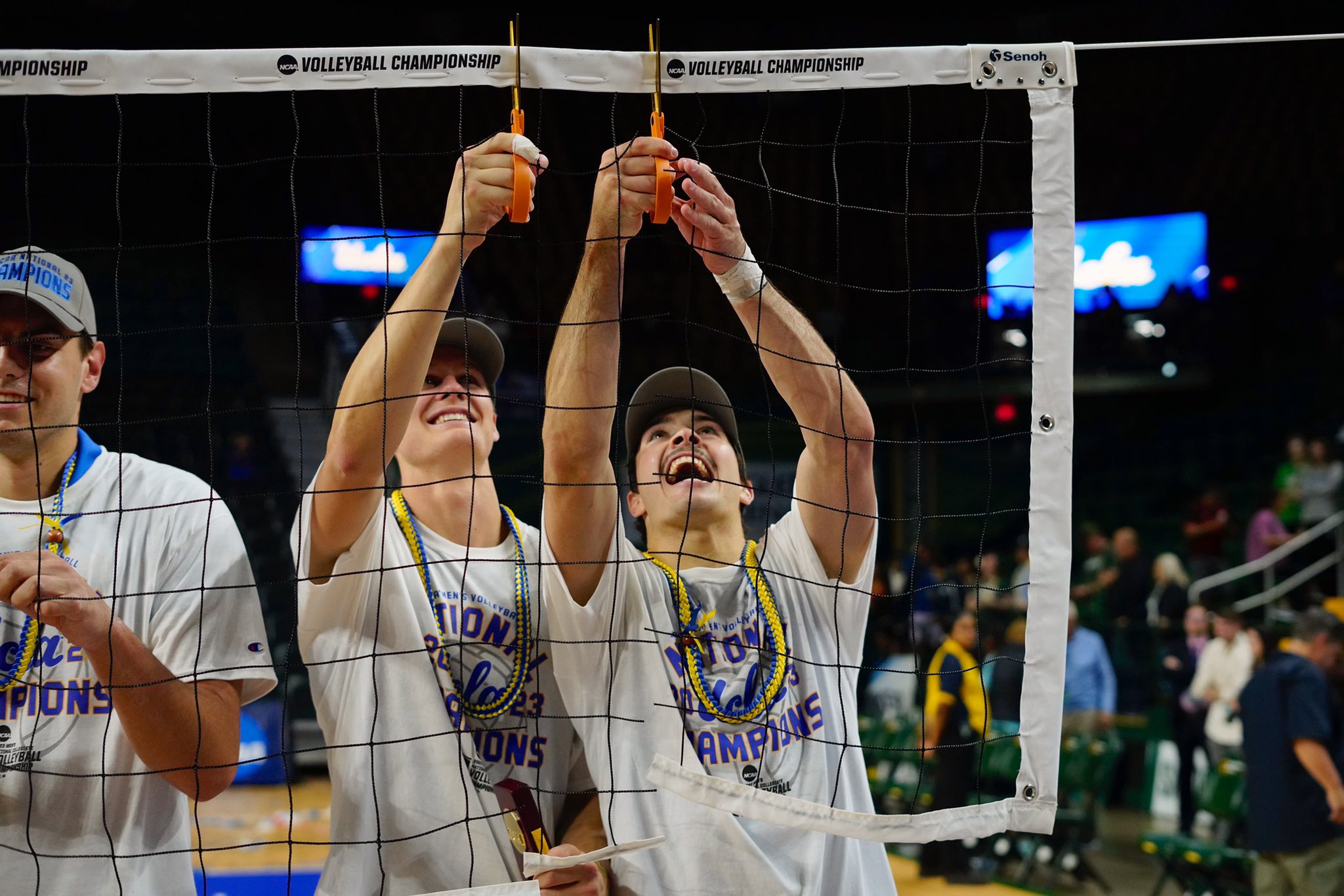 🐻Bruin🐾Gold (@bruingold1) / Twitter