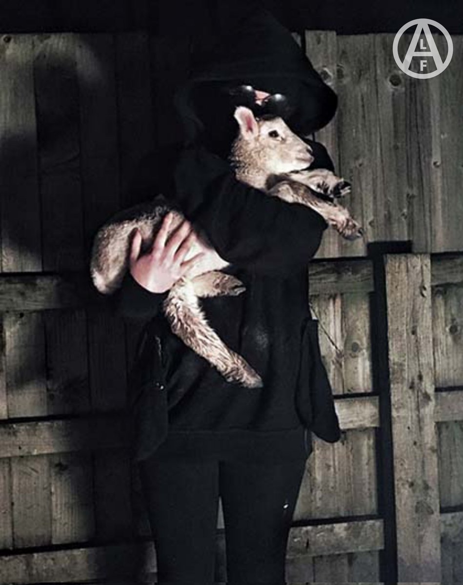 alexpunx1977's tweet photo. The direct action activist impulse of the Animal Liberation Front shows that there is a clear distinction between animal welfare and the rights of other animals, as well as between animal rights and animal liberation. https://t.co/yKeJ7fKOhy