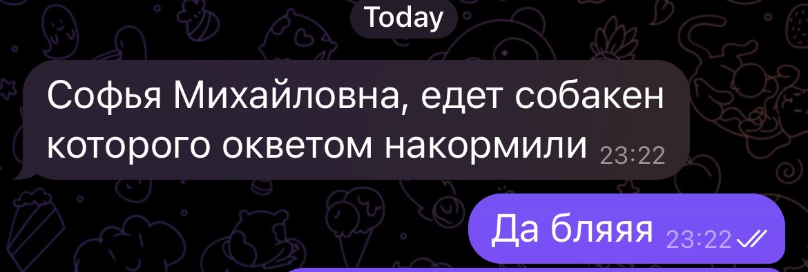 sleepyhead_meow's tweet image. ну, вот и к нам в клинику пришел первый пациент с отравлением моксидектином. НЕ БЕРИТЕ ТАБЛЕТКИ OKVET EXPRESS TABS уже много случаев отравившихся зверей