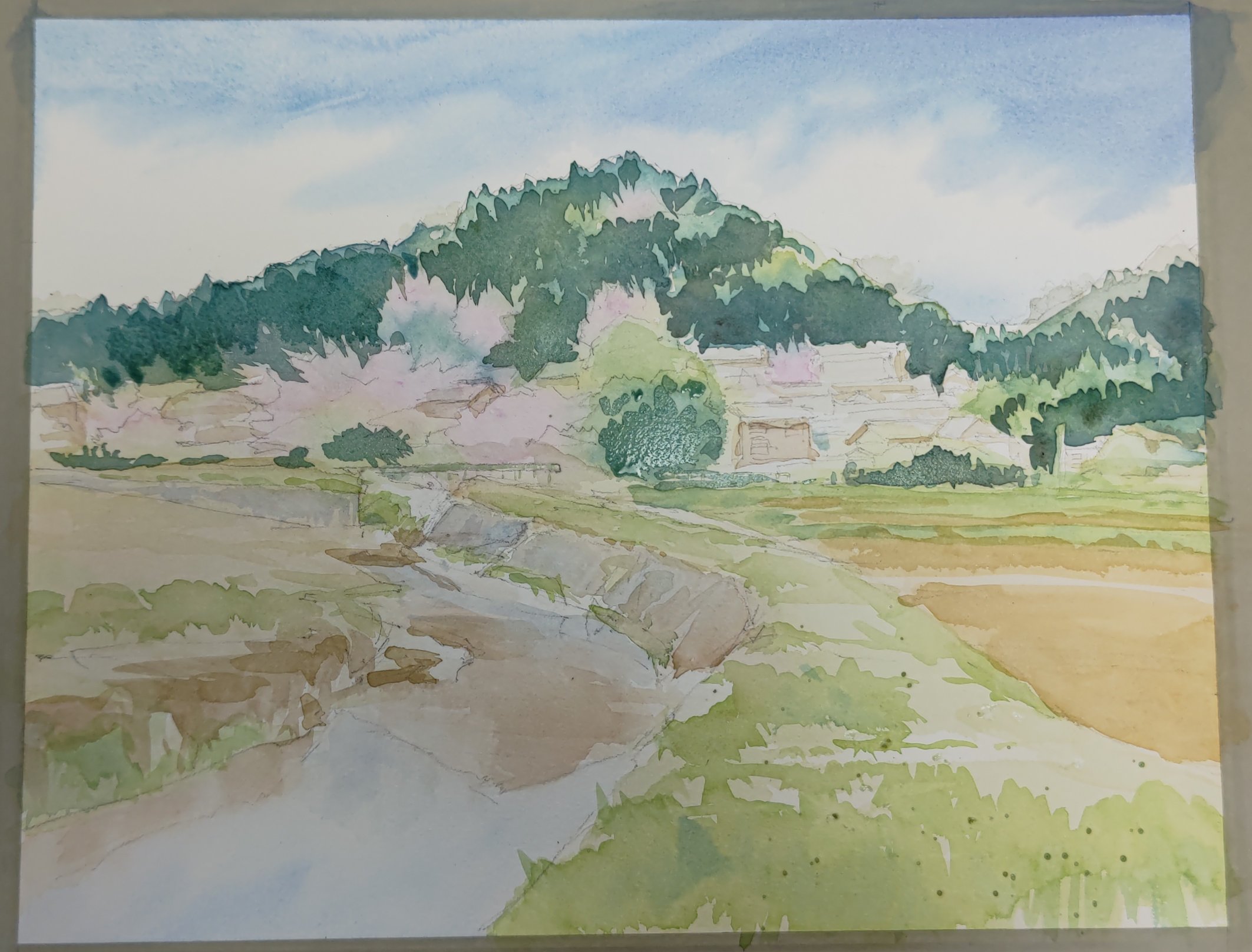 283＊春の便り 水彩画 原画 透明水彩画 F6