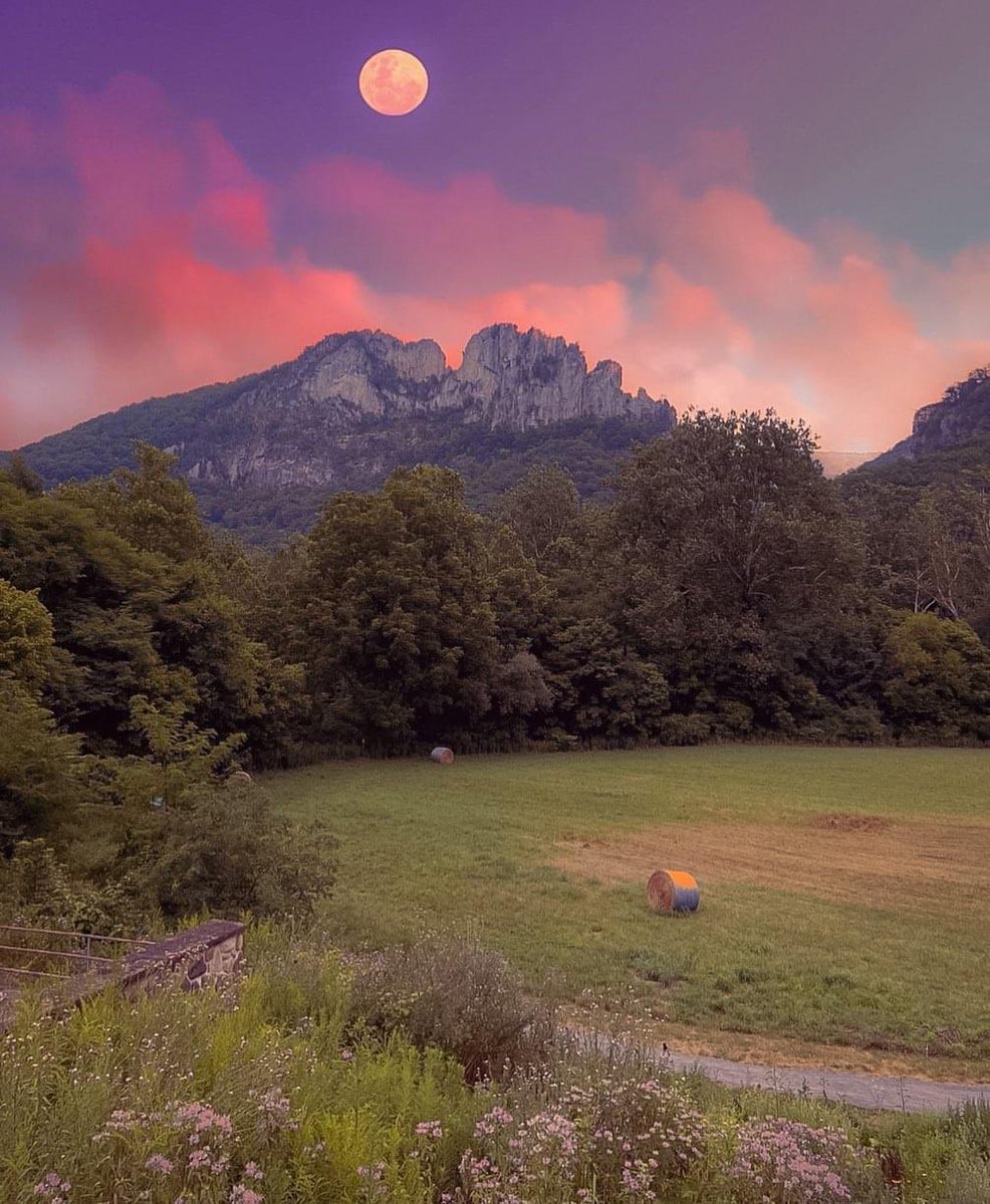 coacheddy's tweet photo. This is not my picture… but it is an amazing photo of Seneca Rocks, WV.
Nothing can match the beauty of the Mountain State!
#WestVirginia
#senecarocks
#WV https://t.co/qS8Ri7rPZi