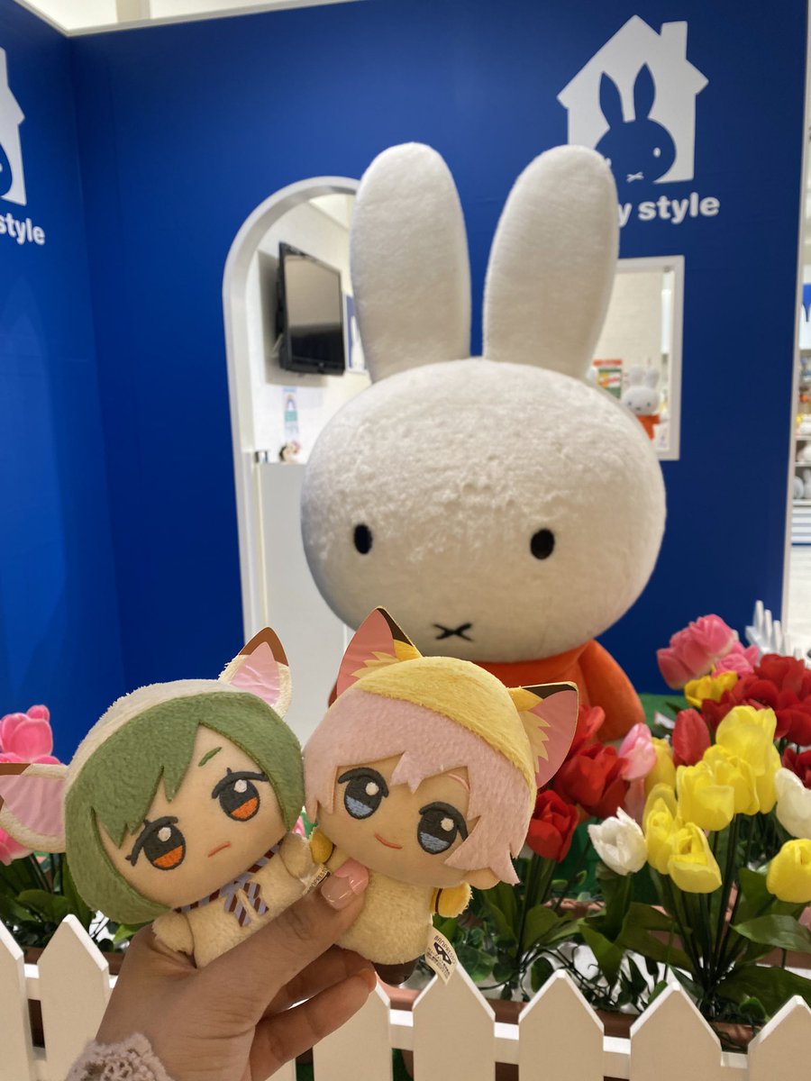 miffy….. 🐰🌷