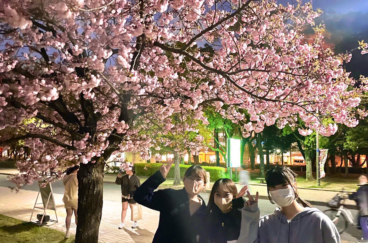 socialcollege1's tweet photo. 4/2 「ゴミ拾い×お花見🌸」in 長居公園

今回は初めて長居公園で #ゴミ拾いイベント を行いました😄🎶

綺麗な��も見ることができて一石二鳥！！
皆、桜の写真を撮ったり、満開の桜をみたり…
楽しくゴミ拾いができました🔆

#ボランティア　#ゴミ拾い　#大学生 https://t.co/3kGWprYR8Z
