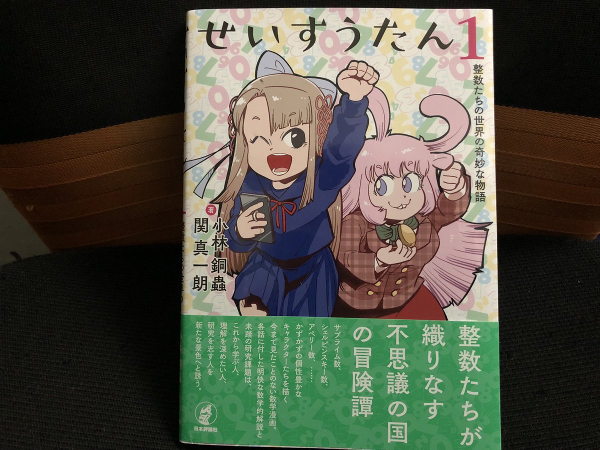 新刊、関真一朗先生との共著「せいすうたん 1」出てます 黒いページが漫画でそれ以外は数学です よろしくお願いします 