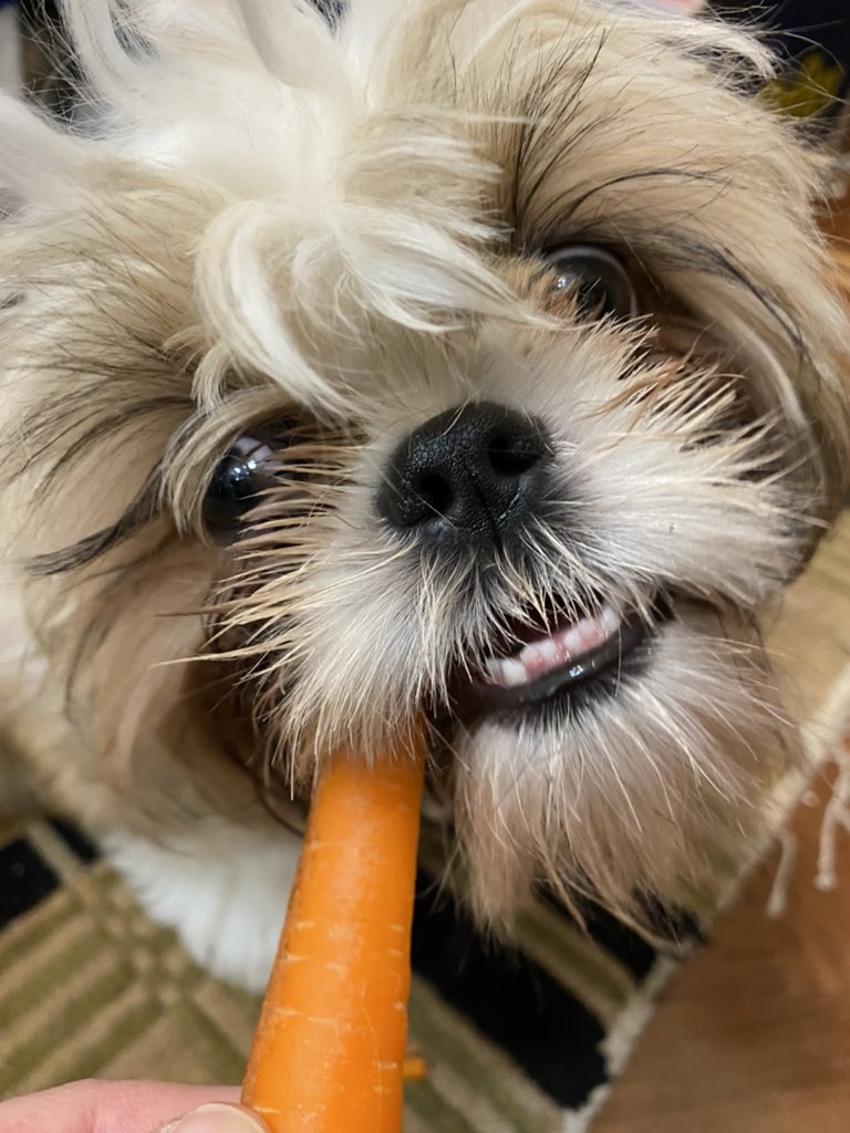 Goldie Huggy 🌈Amber, Pele tweet media