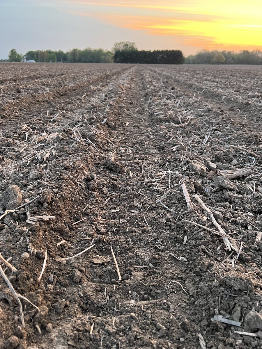 Bodie Kitchel tweet media