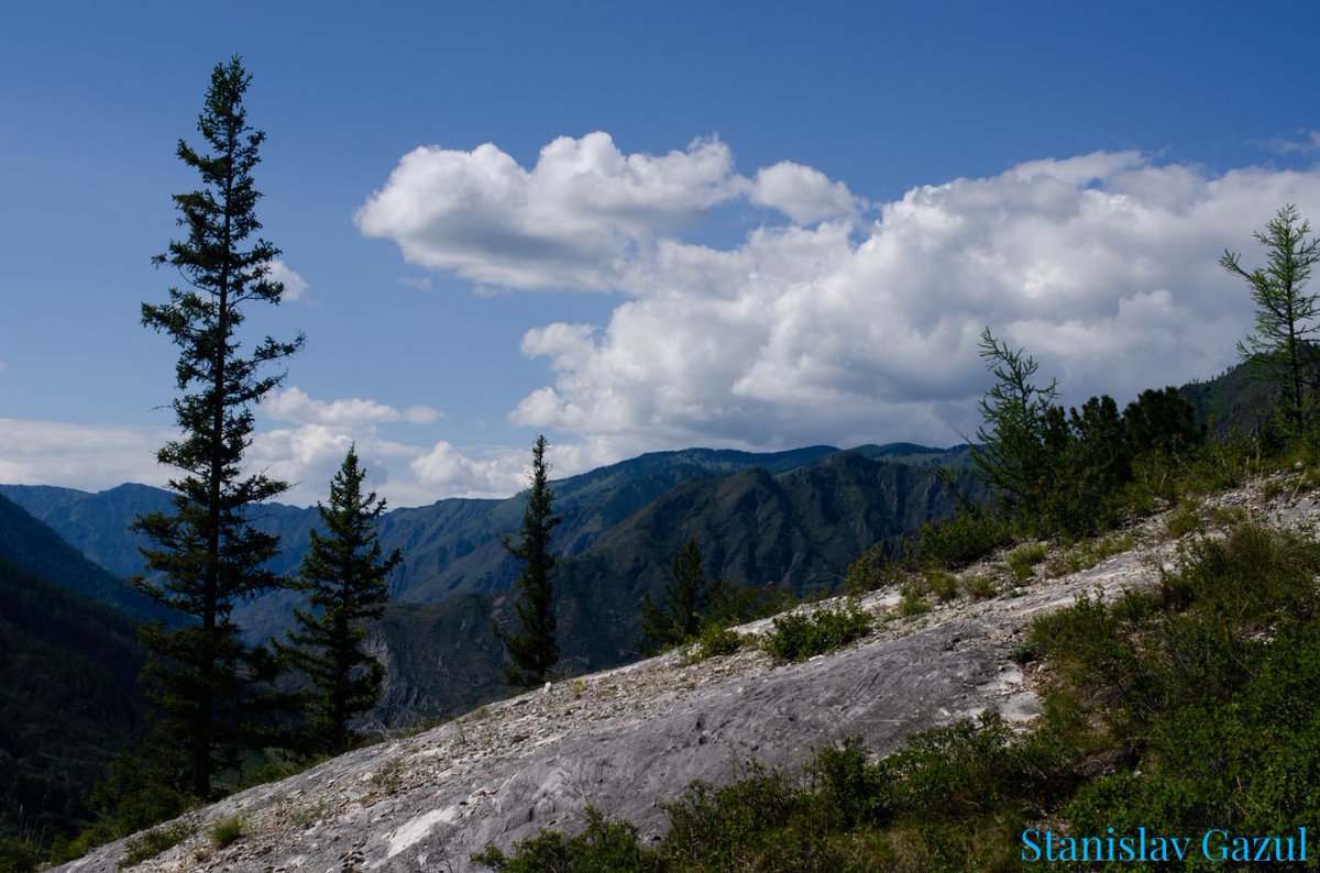 stanislav_gazul's tweet photo. Enchanting Altai. Chuya Highway. A place where you will definitely want to return.
20.07.22
Chuya Highway, Altai Republic, Russian Federation
#Altai #mountains #Russia #landscape #vuoret #venäjä #горы #Алтай #Россия #пейзаж #ЧуйскийТракт #ChuyaHighway #ChuyskyTrakt https://t.co/IajpjQqoln