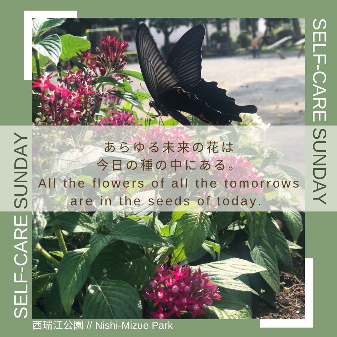 EdoBeautyLab's tweet photo. It’s #SelfCareSunday! 今日はセルフケアサンデー：自分を愛する日曜日!

あらゆる未来の花は今日の種の中にある。// インドのことわざ

All the flowers of all the tomorrows are in the seeds of today. // Indian Proverb 

#selfcaresunday #QOTD #癒しの言葉　#セルフケア　#心のケア https://t.co/zjVbFJQup1