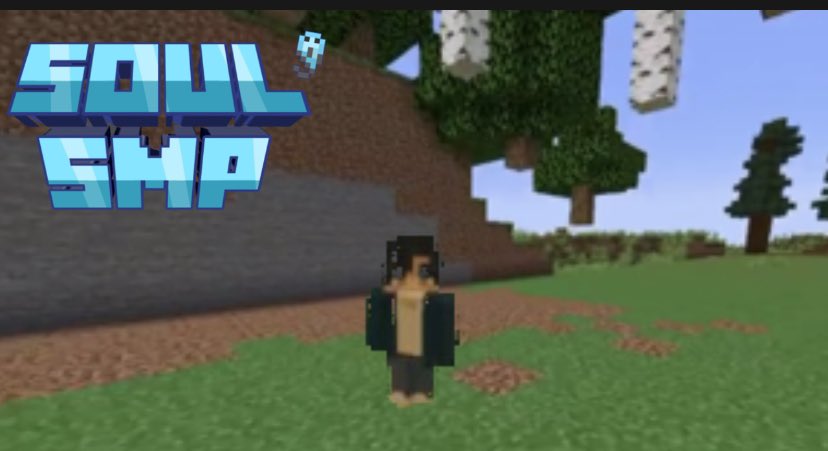 SoulShard SMP tweet media
