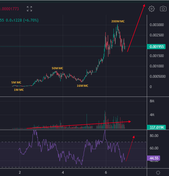DGMD22's tweet photo. Moral of the story: $TURBO sellers get burned every.single.time. 
Distribution has never looked better. 16k+ Holders. More CEX's coming. Best community and narrative in memecoins hands down. About to go TOAD MODE. @TurboToadToken @TurboArmy2023