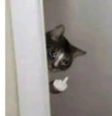 ♡ 𝔐𝔦𝔪𝔦 ♡ tweet media