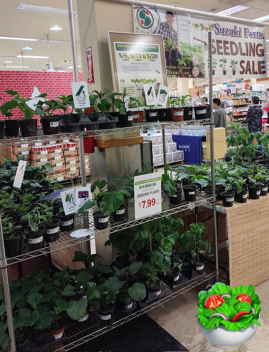 Mitsuwa_NJ's tweet photo. SUZUKI FARM fair 
Young plant sales. https://t.co/4pObk0lAd6