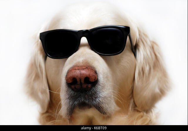 alexandra tweet media