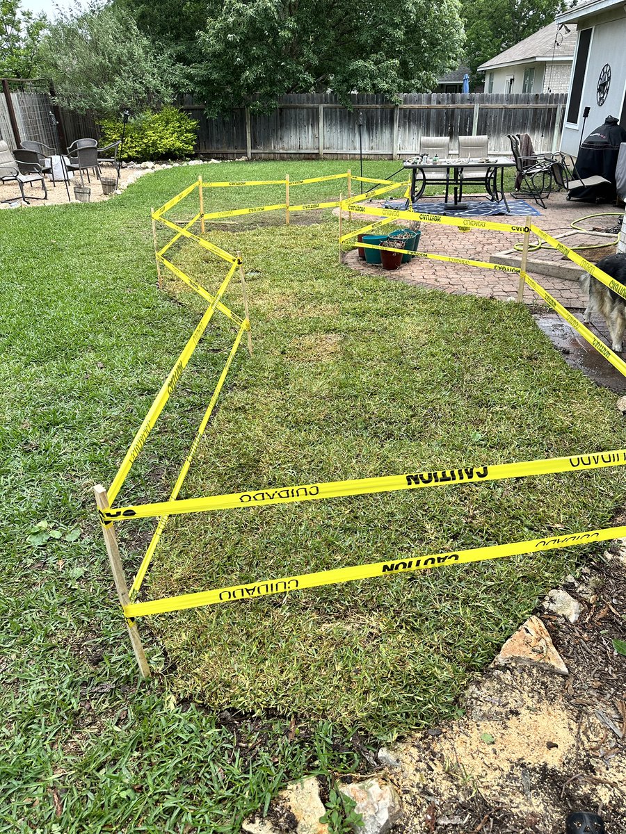 Kyle Foreman tweet media