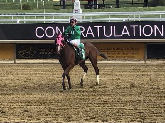 kaleyunger's tweet photo. In honor of the Kentucky Derby, @spankytano we own one of your 2017 bred “Just Chill Out.” Would love to connect if you remember him and have any photos! He is the sweetest and silliest boy! 🥰🐴 https://t.co/BE2qFUe3ep