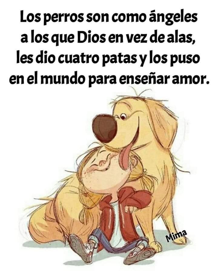 GRamirezF_D12's tweet photo. Buenas noches 🐾🐶❤️ https://t.co/BNcATnKl8e