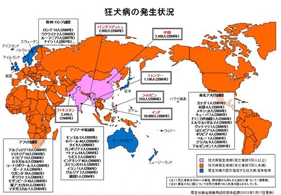 狂犬病の心配をしなくていい国はごくわずか。日本は安全！？