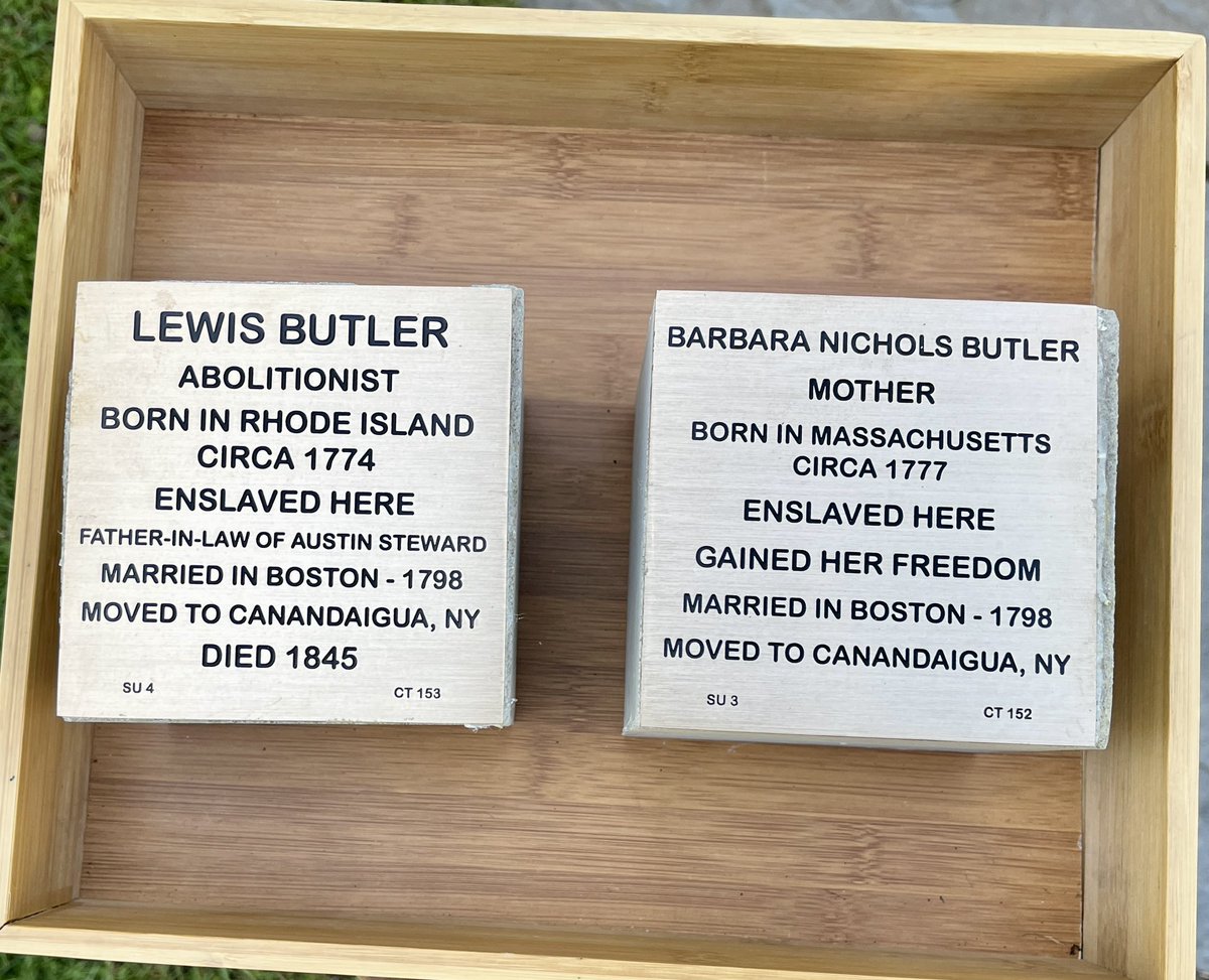 Witness Stones Project, Inc tweet media