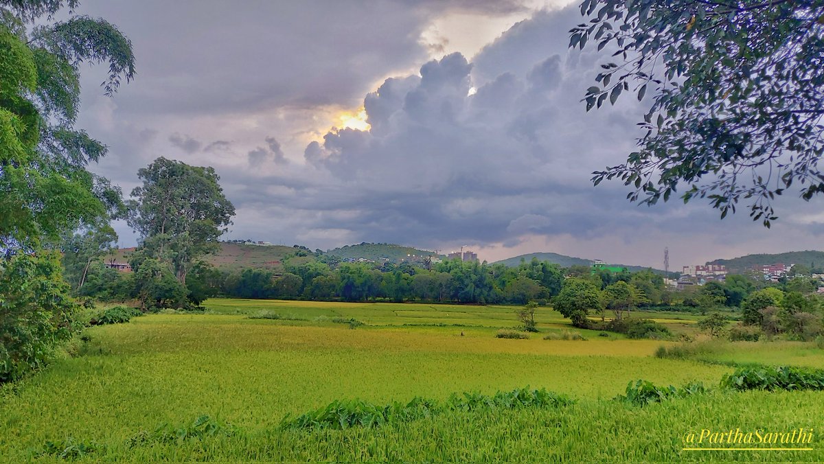 SarathiRout's tweet photo. 🙏NAMASKAR🙏

Click at Koraput(Odisha)🇮🇳

#landscapephotography #landscape_lover
#koraputtourism #PhotoOfTheDay #photographers_of_india #koraputdiaries #ThePhotoHour #nftcommunity #odishadiaries #NaturePhotography #saveenvironment
Camera:#samsunggalaxyA71
Insta:@parthasarathi2010 https://t.co/Q0bVDRUqIT