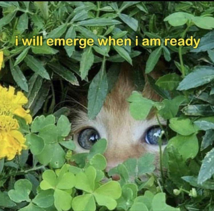 MOOD 🌙
Did you see that eclipse last night? It peeked out only a hair through the clouds here in Seattle. 
.
.
#eclipse #fullmoon #caturday