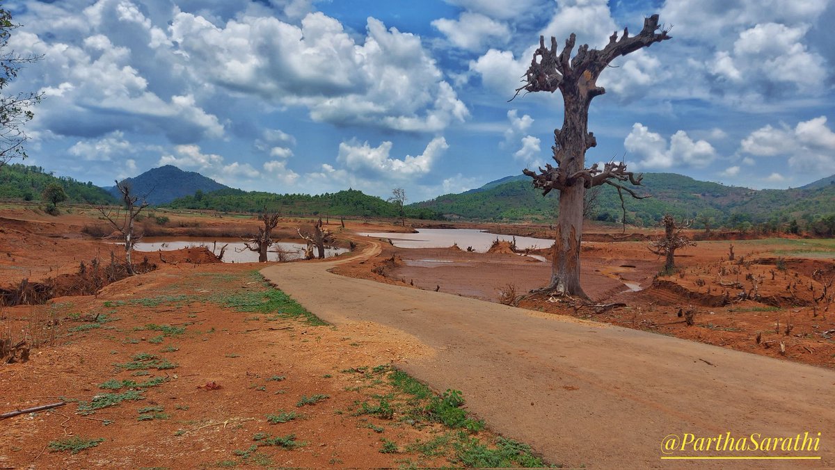 SarathiRout's tweet photo. 🙏NAMASKAR🙏

Click at Koraput(Odisha)🇮🇳

#landscapephotography #landscape_lover
#koraputtourism #PhotoOfTheDay #photographers_of_india #koraputdiaries #ThePhotoHour #nftcommunity #odishadiaries #NaturePhotography #saveenvironment
Camera:#samsunggalaxyA71
Insta:@parthasarathi2010 https://t.co/Q0bVDRUqIT