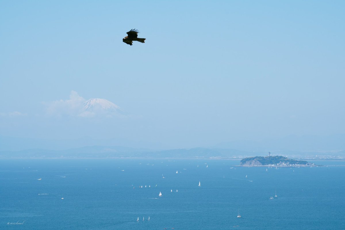 michael24xa_ph's tweet photo. 後から貼り付けたみたいな富士山。
いい感じに？おにぎり泥棒(トンビ)もフレームインしてきた。
#富士山 #江ノ島 https://t.co/Jj1xFaPHQx