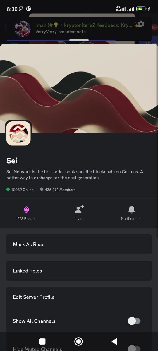 EdwinSaputeraa's tweet photo. @SeiNetwork then if you click option on the far right of the cover photo, you will get a view like this. click Linked Roles on the tab https://t.co/Q1KRKILdwR