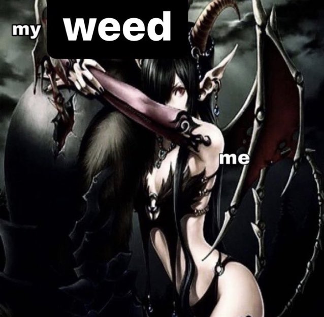 ✧ (@northstardoll) on Twitter photo 