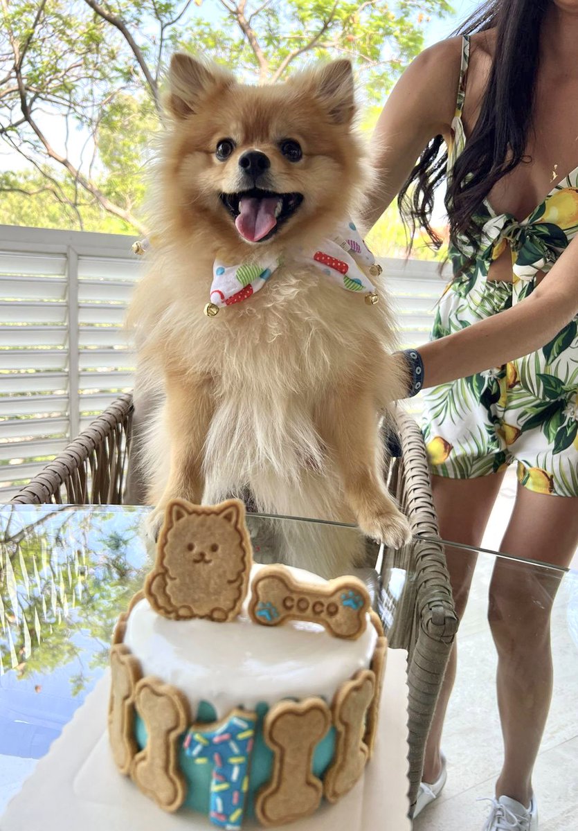 ZairaGlez6's tweet image. Happy birthday coco 🥥 😻✨🎉🥳 #1año