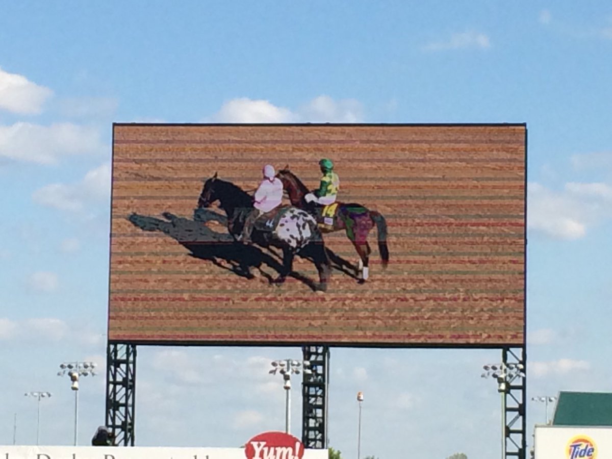 GannonMattIA's tweet photo. Very proud of this mama #Puca #Mage #kyderby https://t.co/ImJcyKAqFv