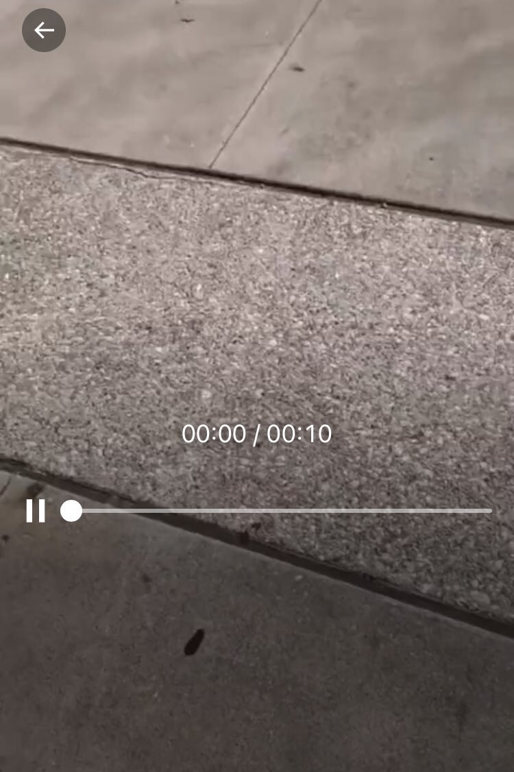 levgarrity's tweet photo. @punishedmother this is what the first frame of the video looks like (i saw a censored version). turn off autoplay in your settings!!! https://t.co/7563oYmkhP